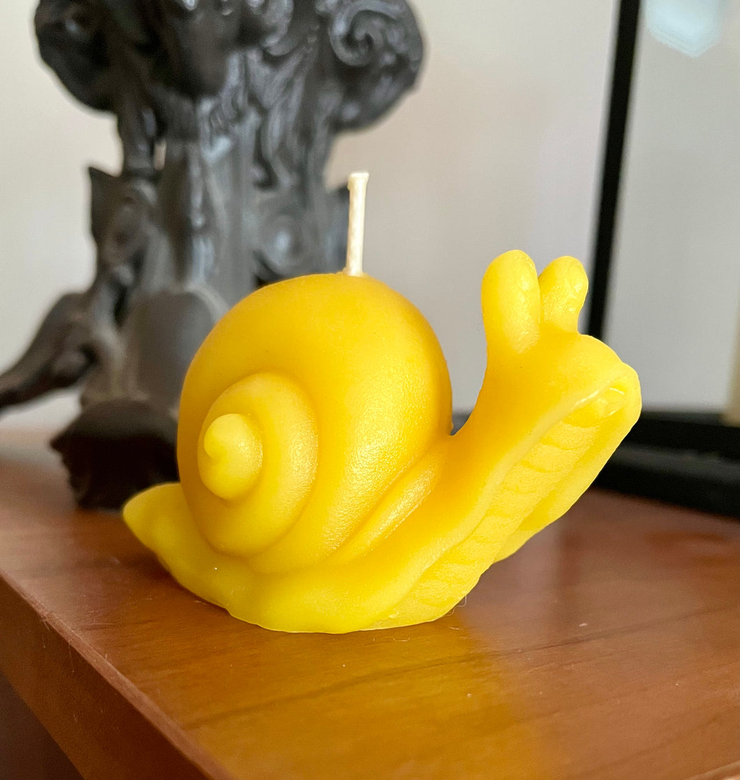 Snail Beeswax Candle