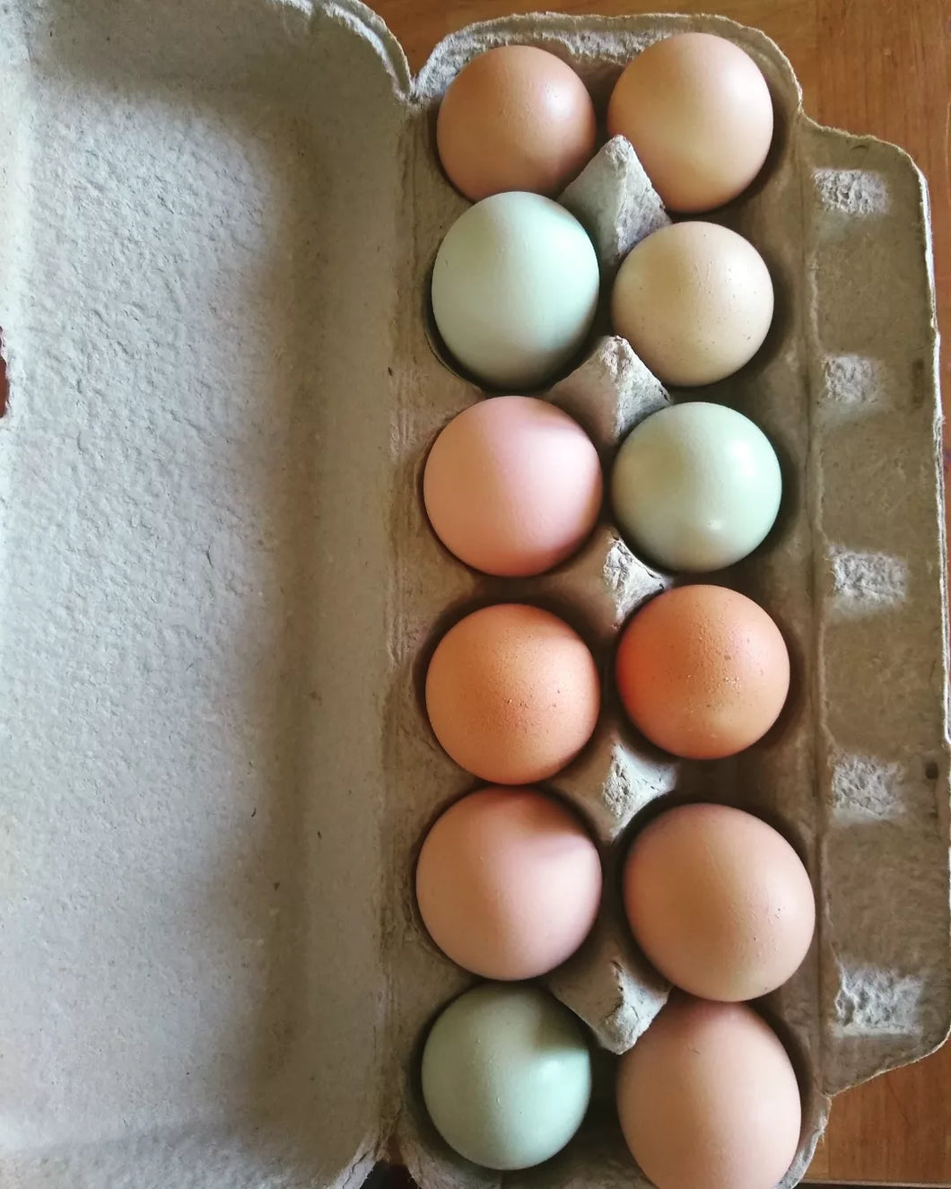 Dozen Chicken Eggs- Local Pick Up/Denver Delivery Only