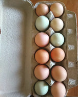 Dozen Chicken Eggs- Local Pick Up/Denver Delivery Only