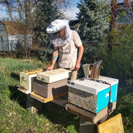 Seasonal Colony Management